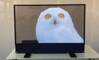 настраиваемый ультратонкий OLED прозрачный дисплей для рекламы в помещениях